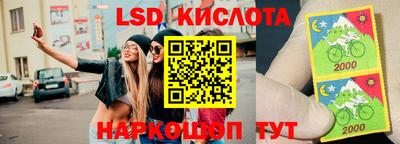ПСИЛОЦИБИНОВЫЕ ГРИБЫ Апшеронск