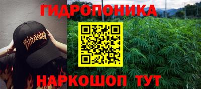 ПСИЛОЦИБИНОВЫЕ ГРИБЫ Апшеронск