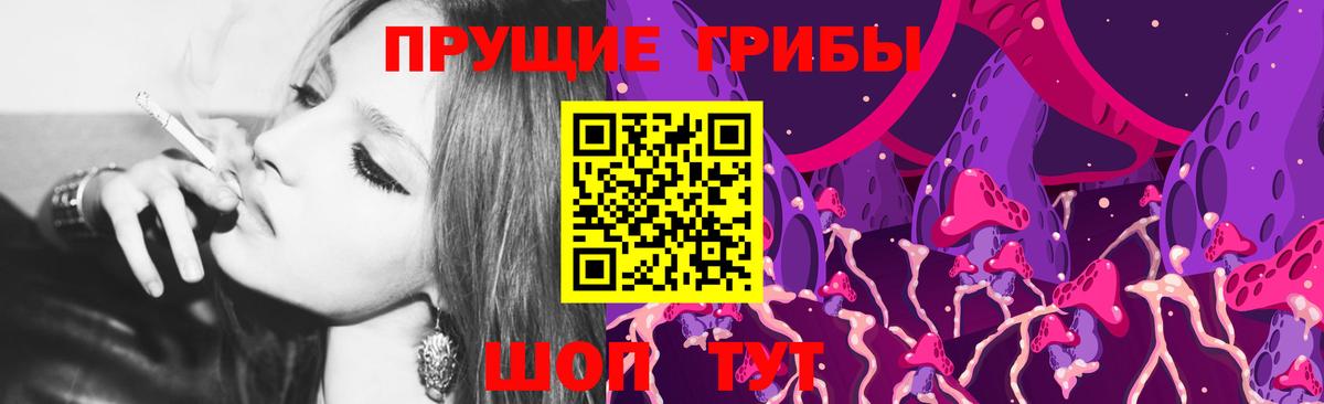 Галлюциногенные грибы Psilocybine cubensis  Вход с VPN  Верхний Уфалей 